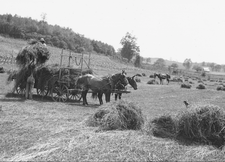 Screen Shot 2018-04-29 at 11.50.19 PM